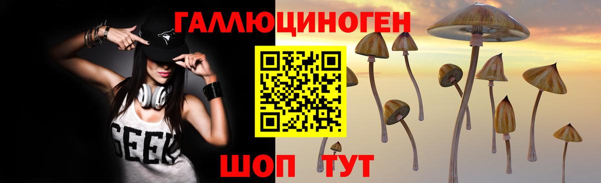 Галлюциногенные грибы Psilocybe Чусовой